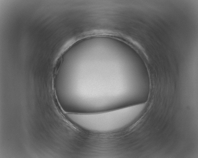 X0000051921365200506241118