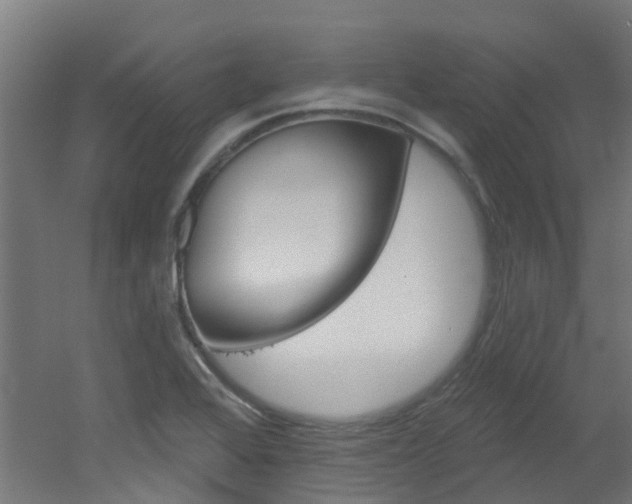 X0000051921368200506241118
