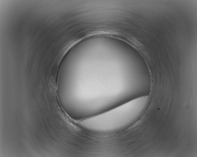 X0000051921369200506241118