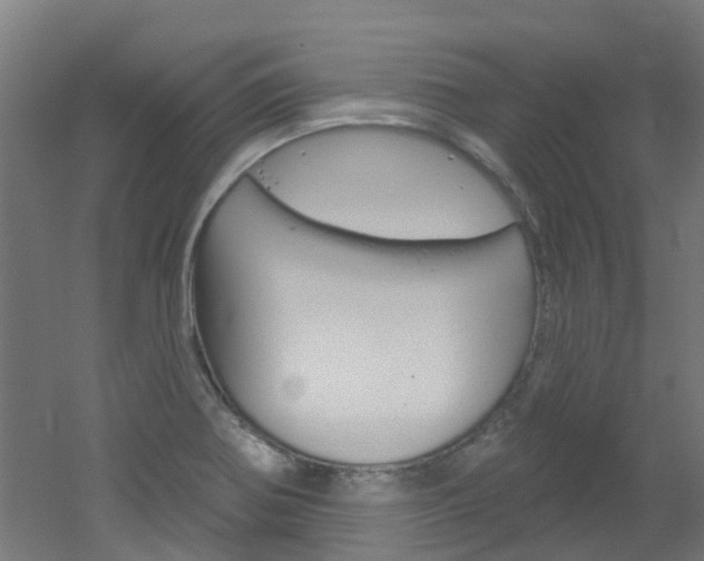 X0000051921370200506241118