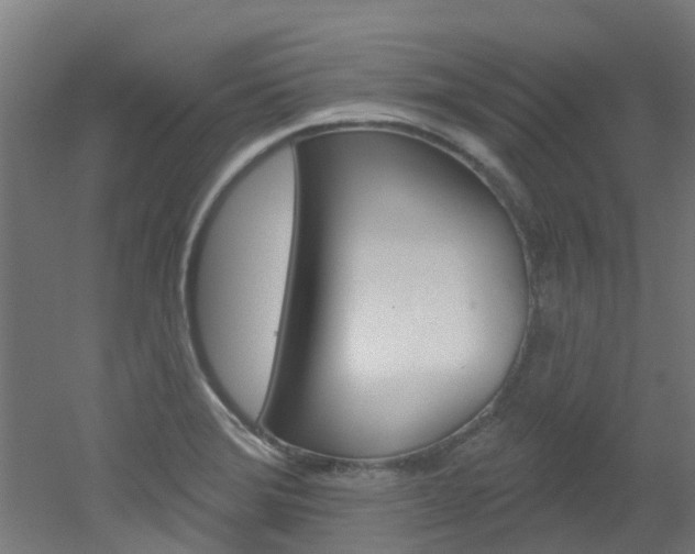 X0000051921372200506241118