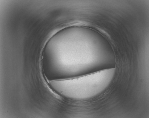 X0000051921375200506241118