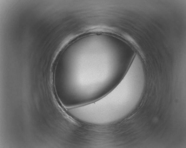 X0000051921376200506241118