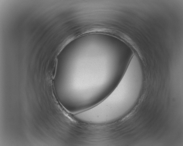 X0000051921377200506241118