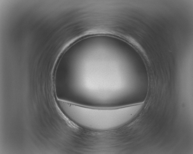 X0000051921380200506241118