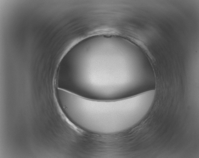 X0000051921383200506241118