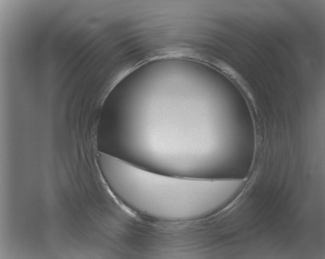 X0000051921385200506241118