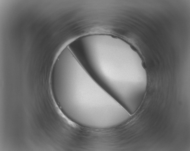 X0000051921387200506241118