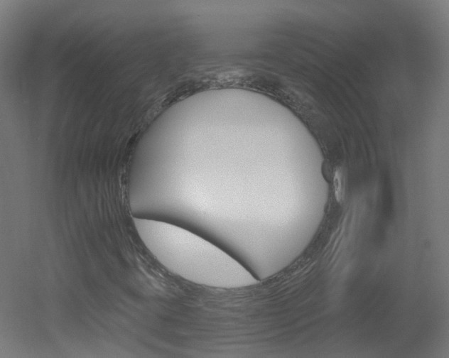 X0000051921395200506241117