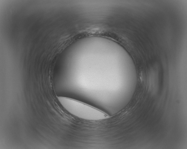 X0000051921396200506241117