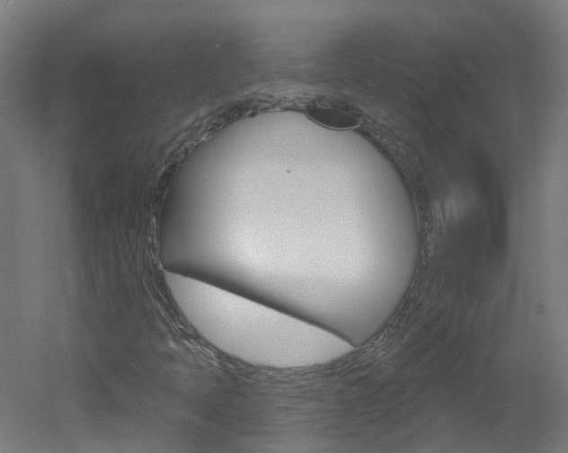X0000051921397200506241117