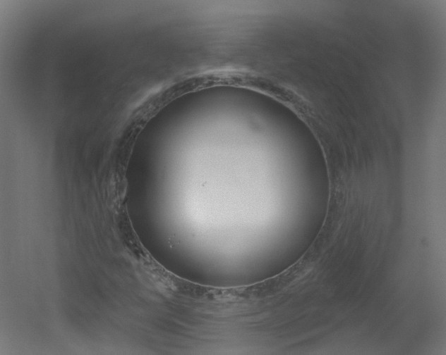 X0000051921398200506241117