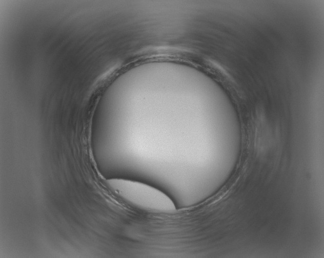 X0000051921403200506241117