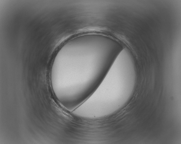 X0000051921404200506241117
