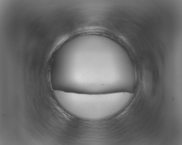 X0000051921405200506241117