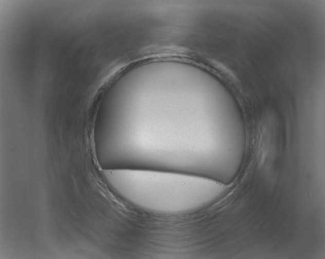 X0000051921407200506241117