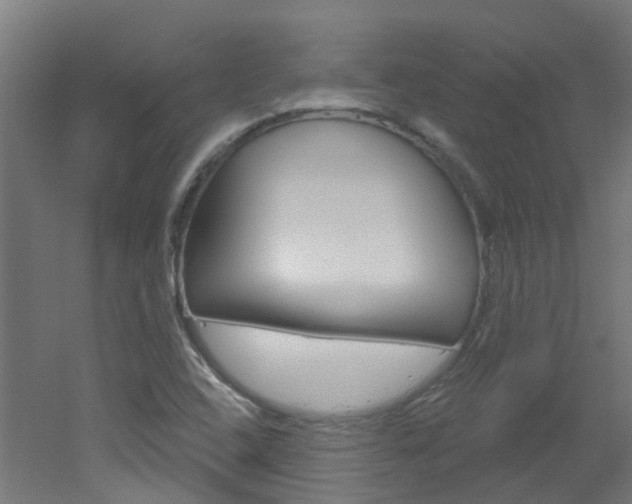 X0000051921408200506241117