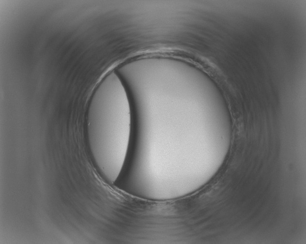 X0000051921409200506241117