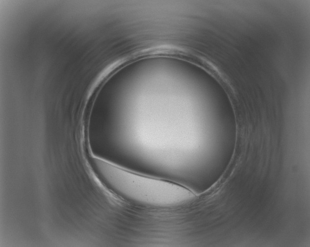 X0000051921418200506241117