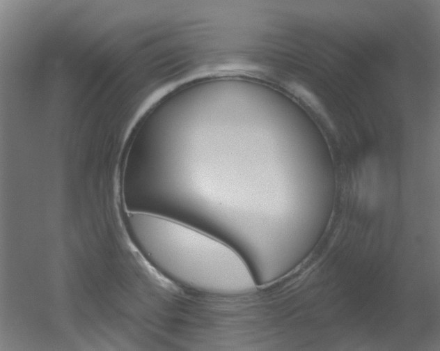 X0000051921420200506241117