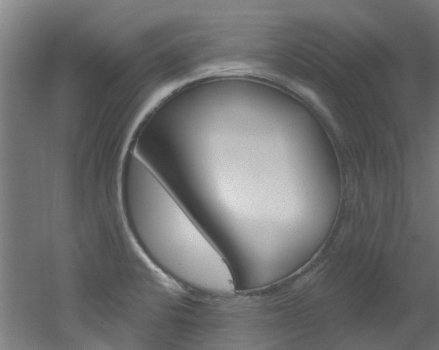 X0000051921424200506241117