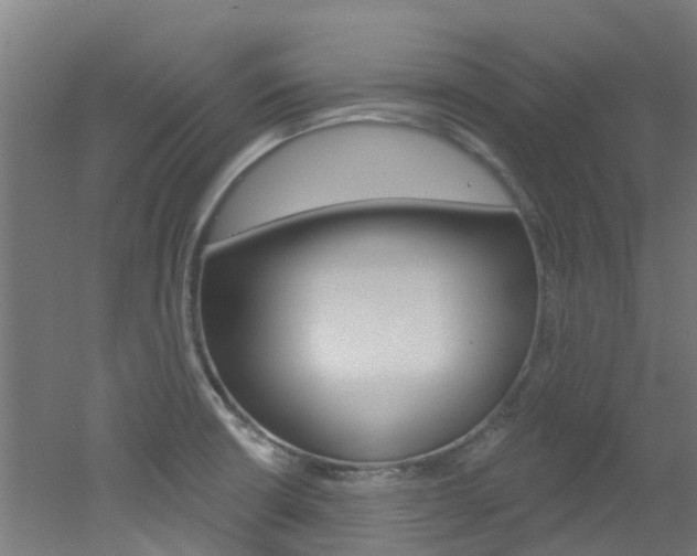 X0000051921426200506241117