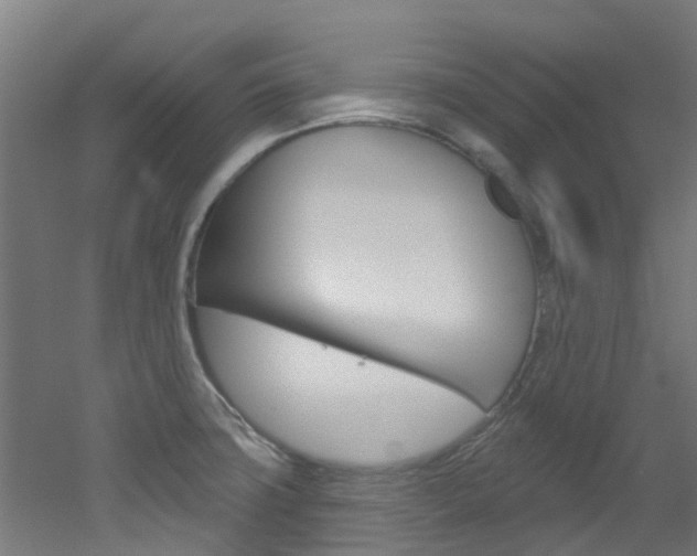 X0000051921427200506241117