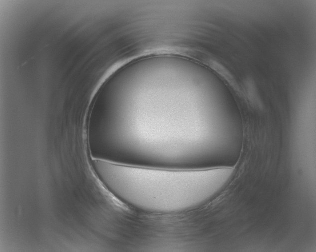 X0000051921428200506241117
