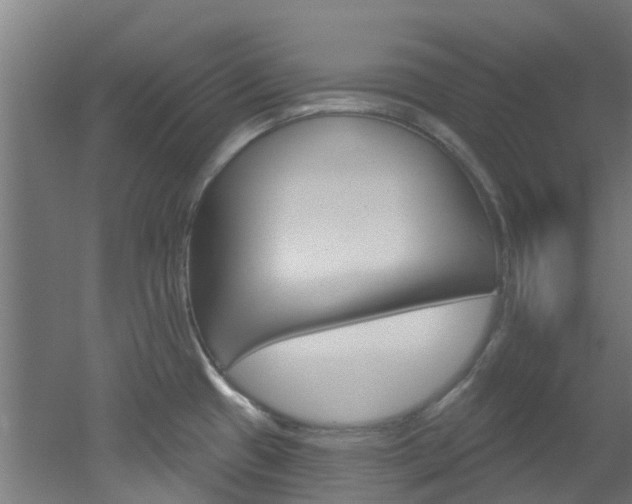 X0000051921433200506241118