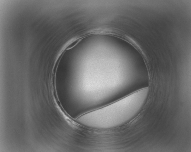 X0000051921434200506241118