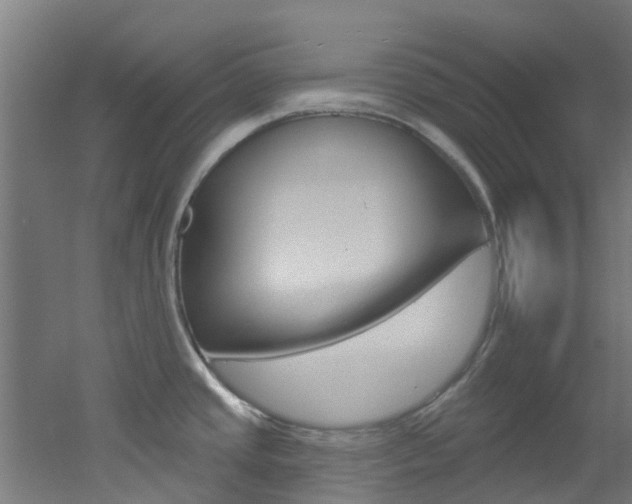 X0000051921437200506241118
