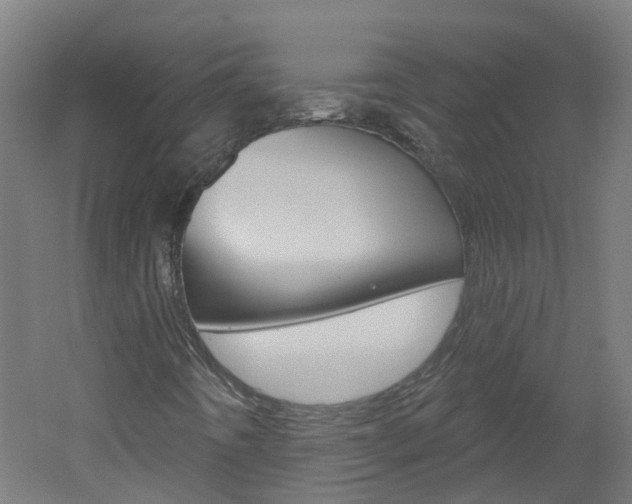 X0000051921442200506241117