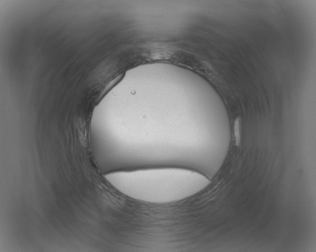 X0000051921443200506241117