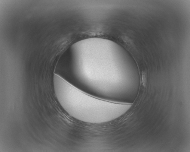 X0000051921444200506241117
