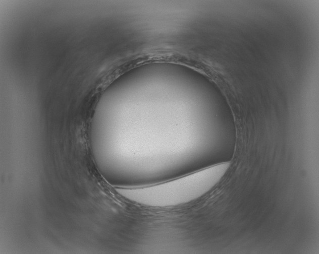 X0000051921445200506241117