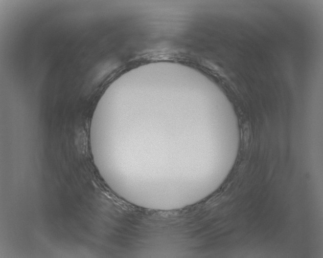 X0000051921446200506241117