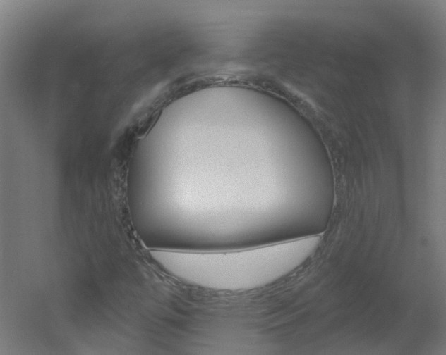 X0000051921447200506241117