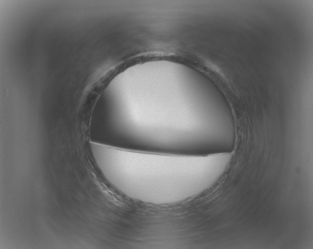 X0000051921448200506241117