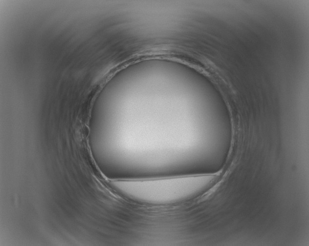 X0000051921449200506241117
