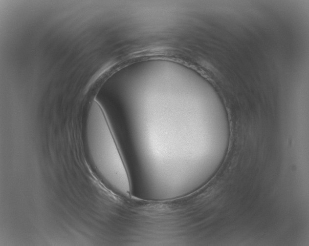 X0000051921450200506241117