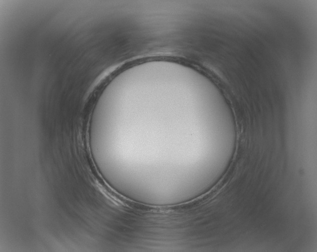 X0000051921452200506241117