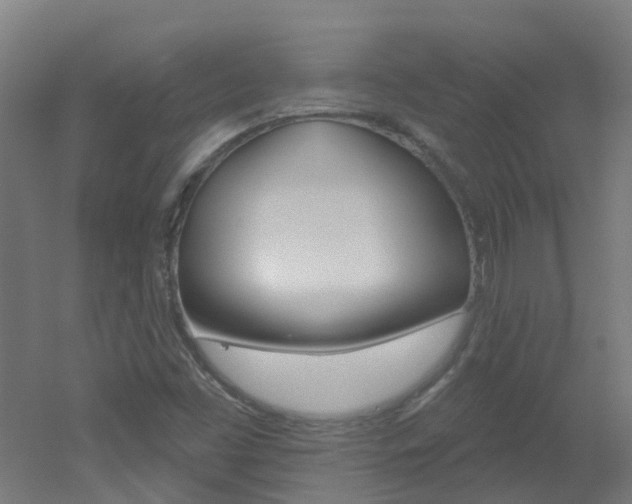 X0000051921453200506241117
