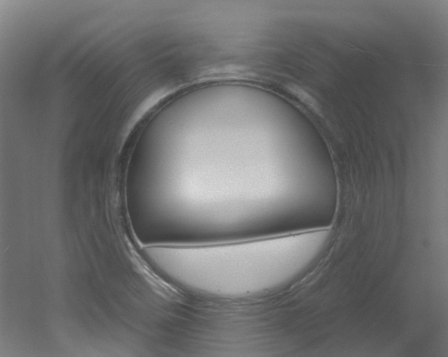X0000051921458200506241117