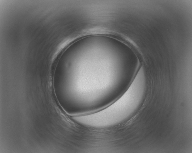 X0000051921461200506241116