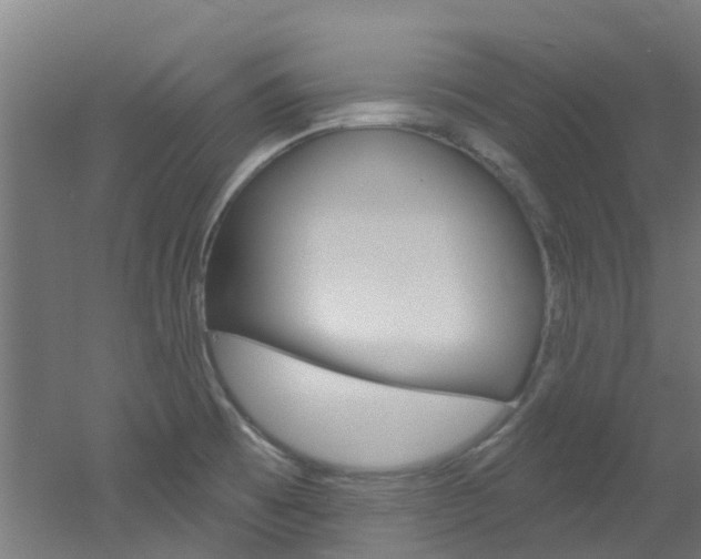 X0000051921473200506241116