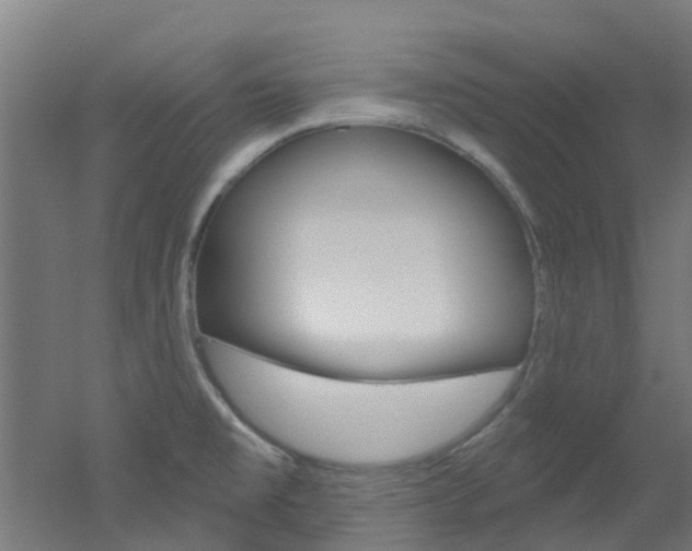 X0000051921477200506241116