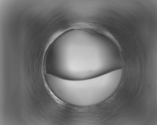 X0000051921485200506241116