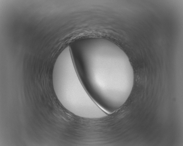 X0000051921490200506241115