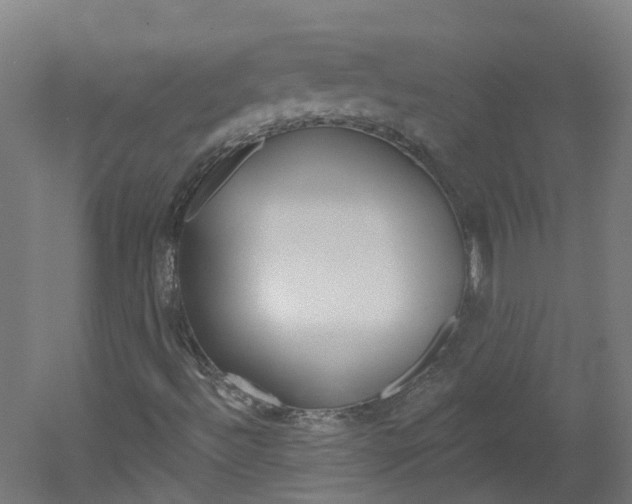 X0000051921492200506241115
