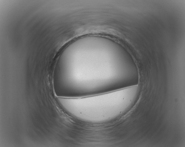 X0000051921497200506241115